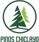 Taxi Pinos Chiclayo